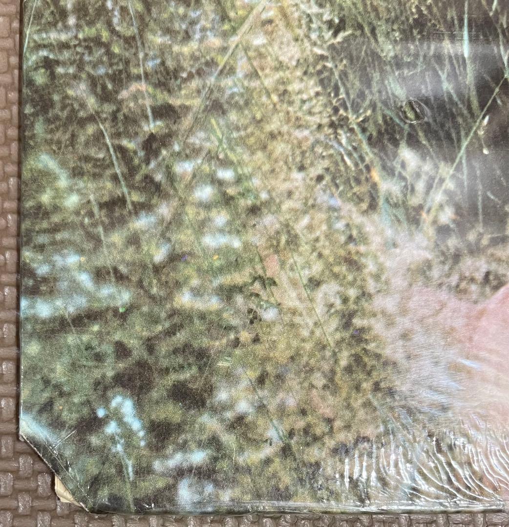 未開封 OLIVIA NEWTON JOHN レア レコード シールド LP