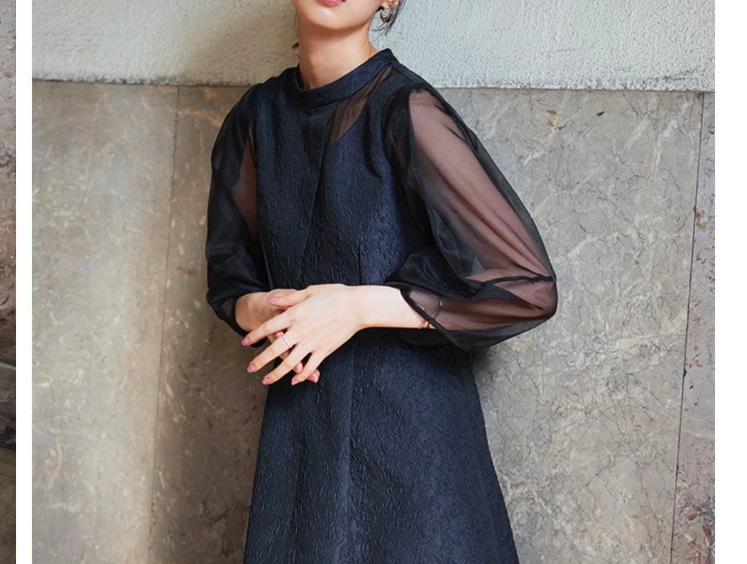 RUIRUE BOUTIQUE シアーランタンスリーブふくれジャカードドレス3L