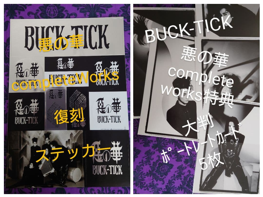 BUCK-TICK 悪の華 CompleteWorks　完全生産限盤　メモリアル