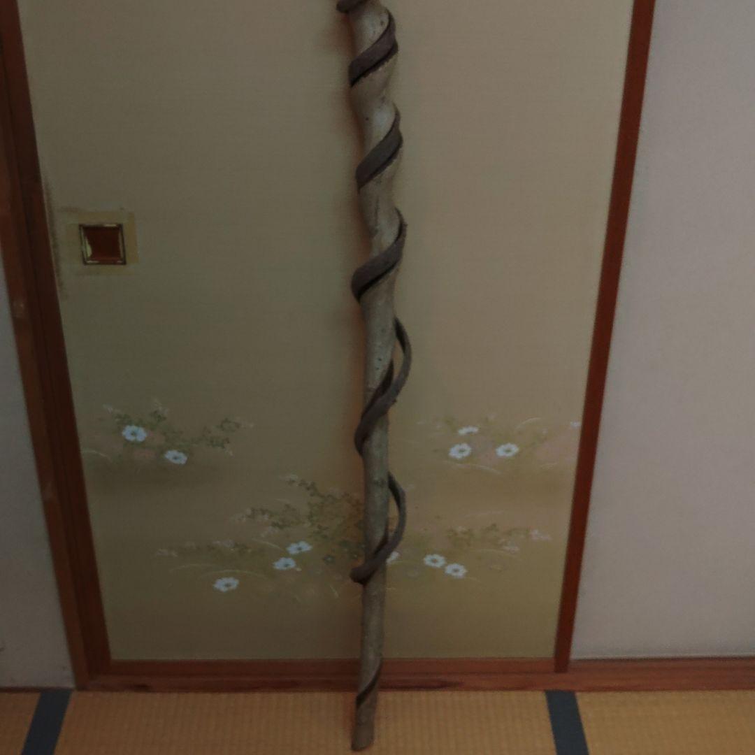 ☀️仙人杖☀️　長さ151㎝　 世界に一つ☀️自然が作った意匠です