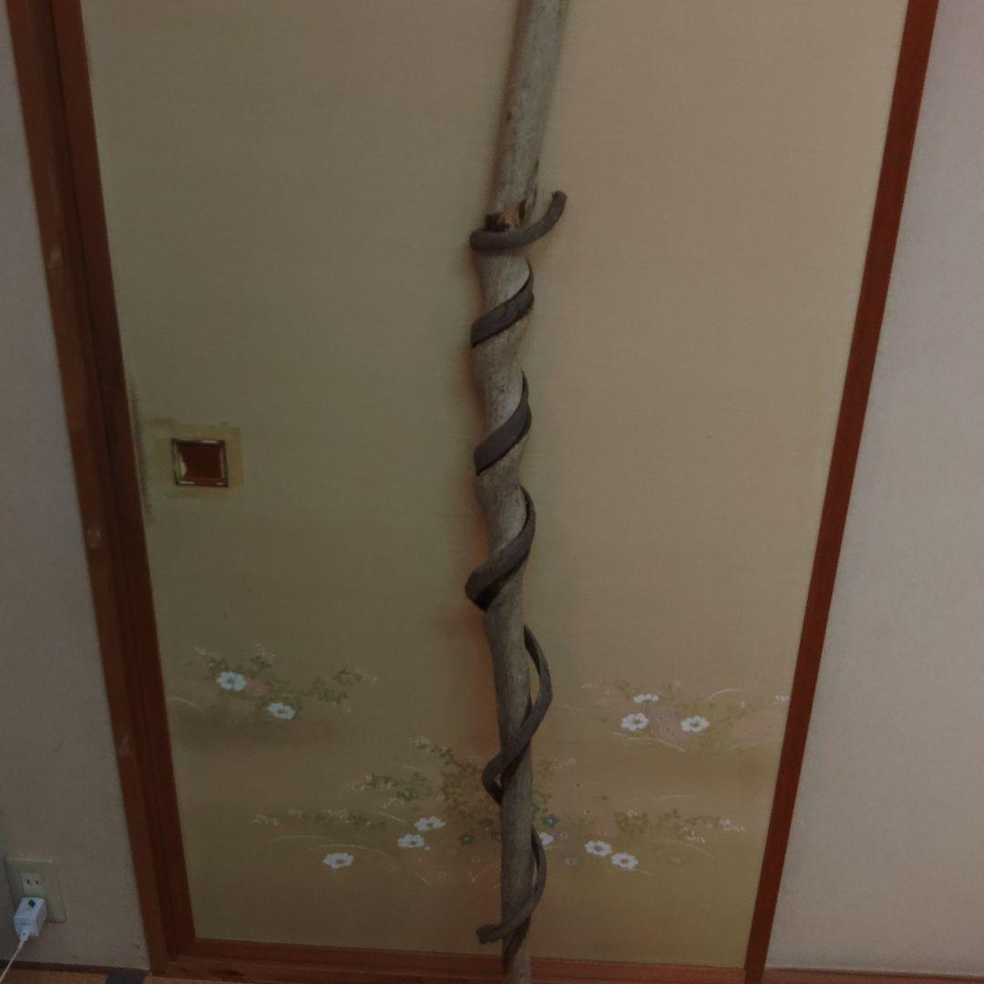 ☀️仙人杖☀️　長さ151㎝　 世界に一つ☀️自然が作った意匠です