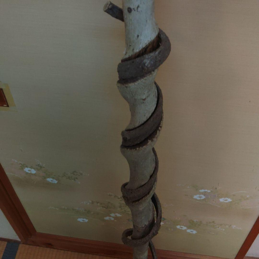 ☀️仙人杖☀️　長さ151㎝　 世界に一つ☀️自然が作った意匠です