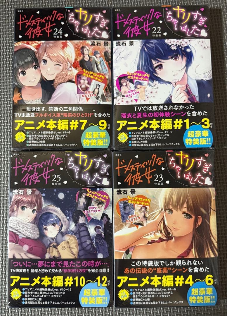 【未開封】 ドメスティックな彼女 特装版