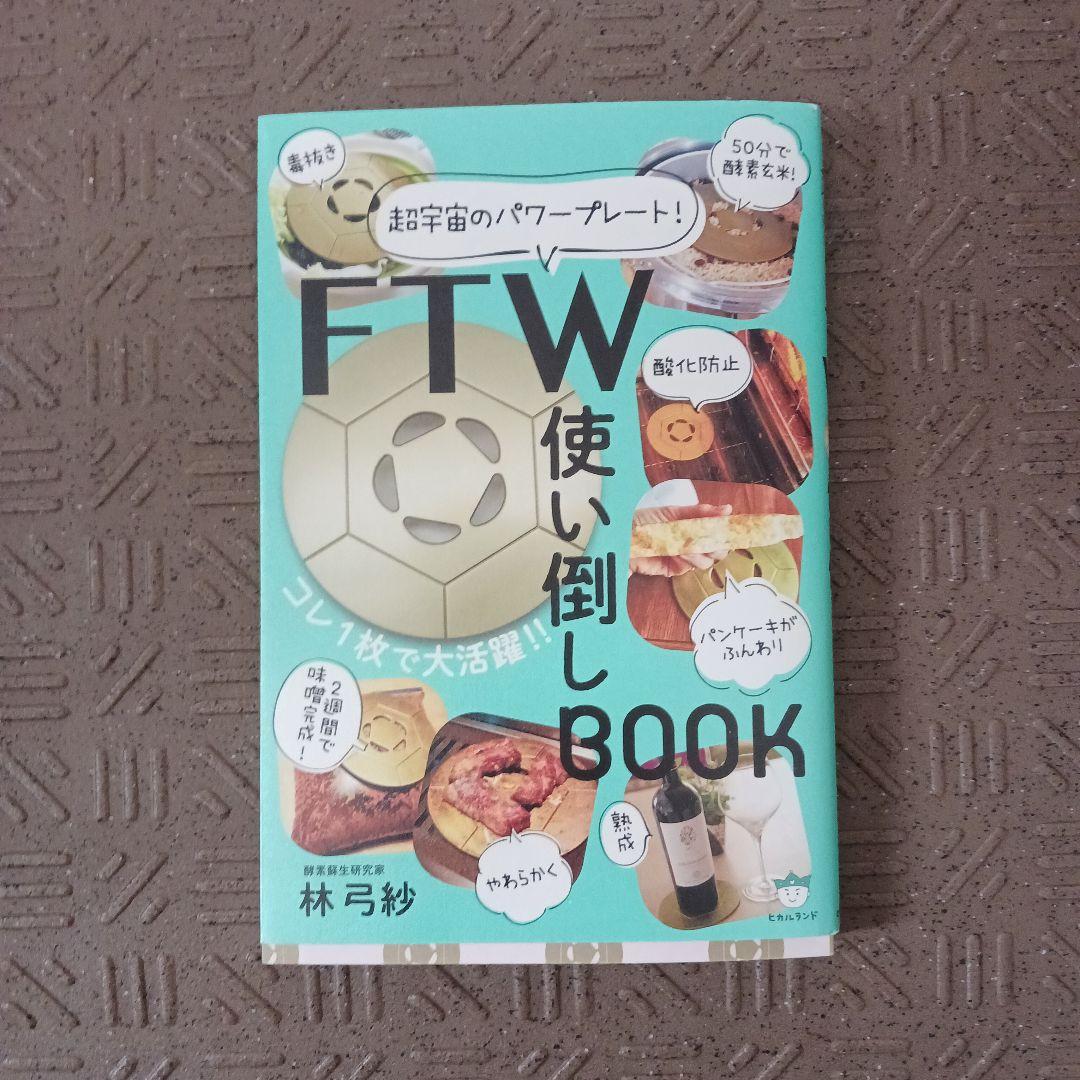 FTW フォーグプレート　本