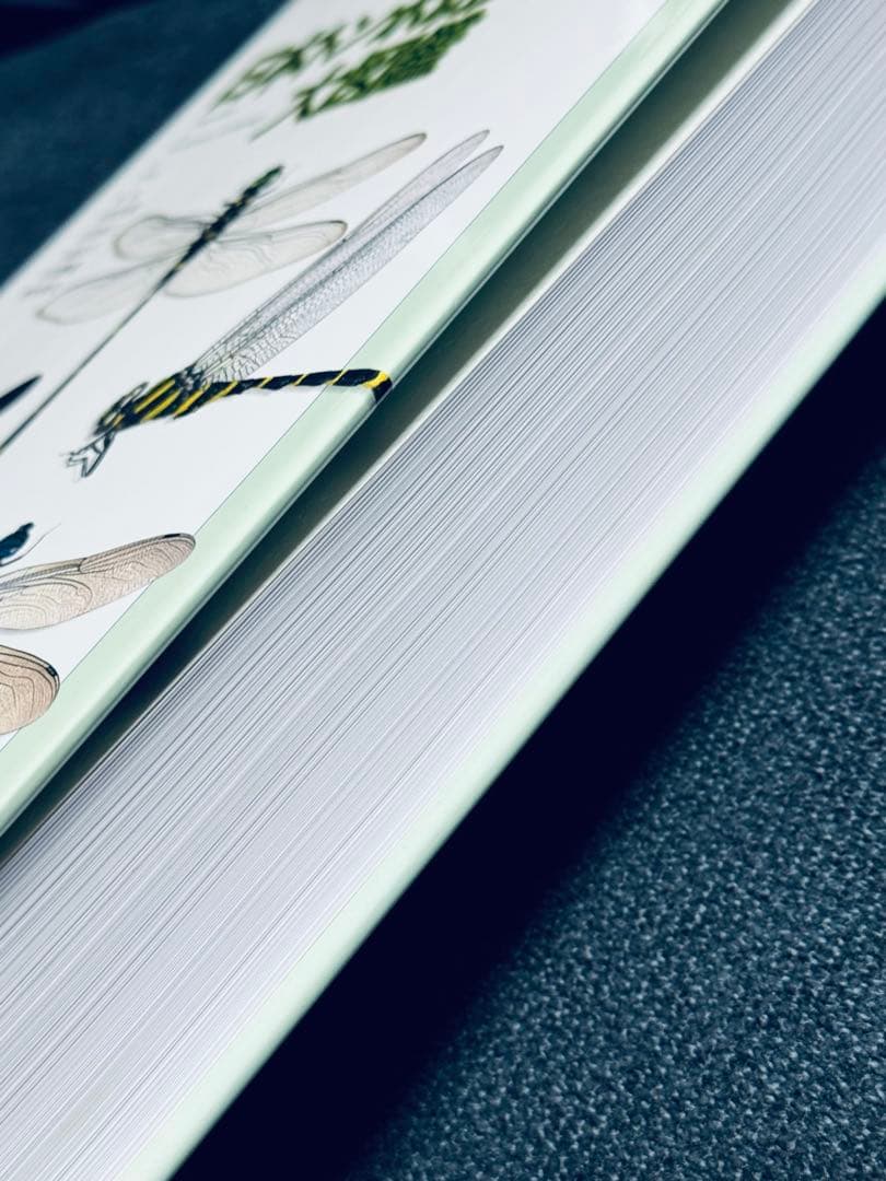 激レア 廃盤 原色日本トンボ幼虫・成虫大図鑑