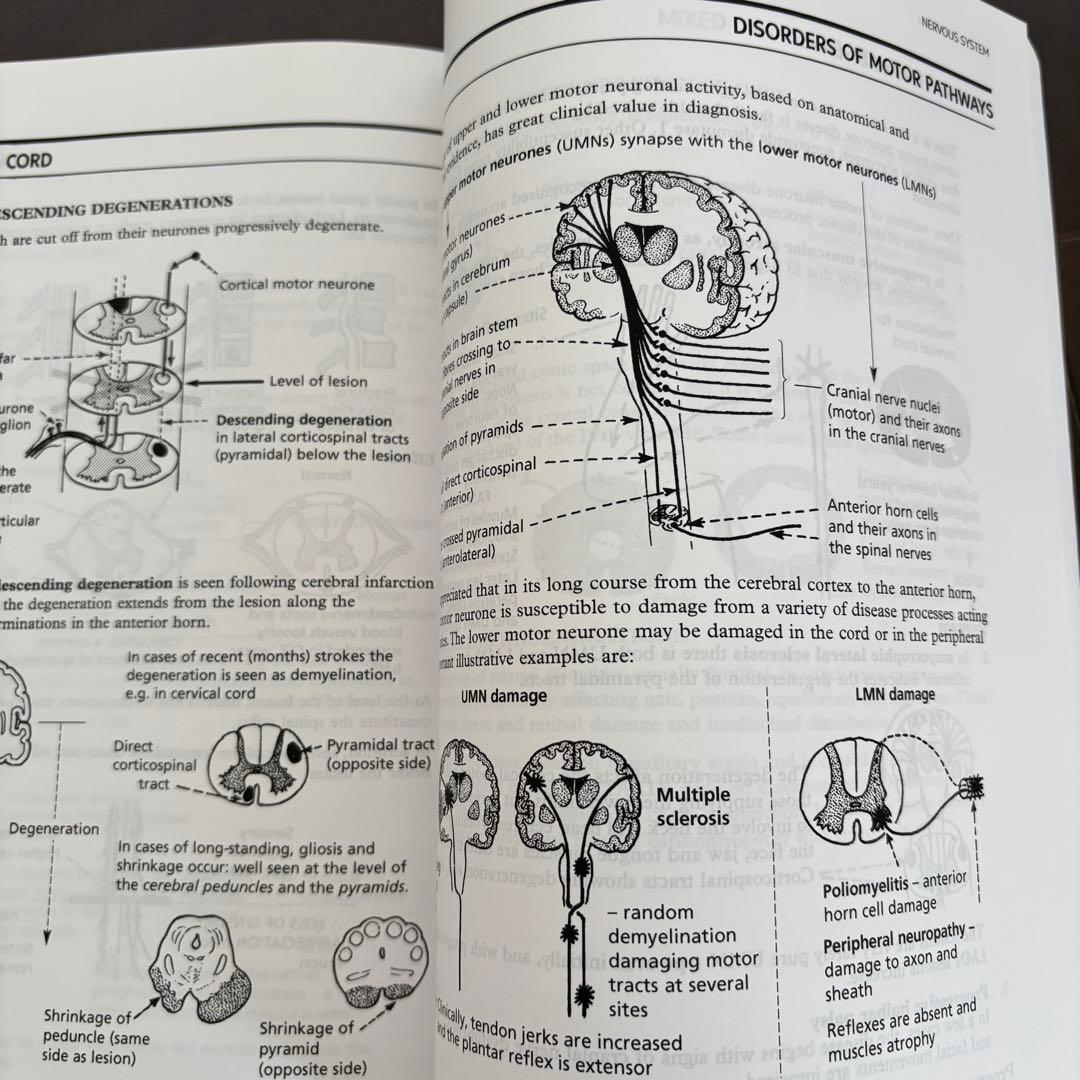 【洋書】 Pathology Illustrated 8th Edition