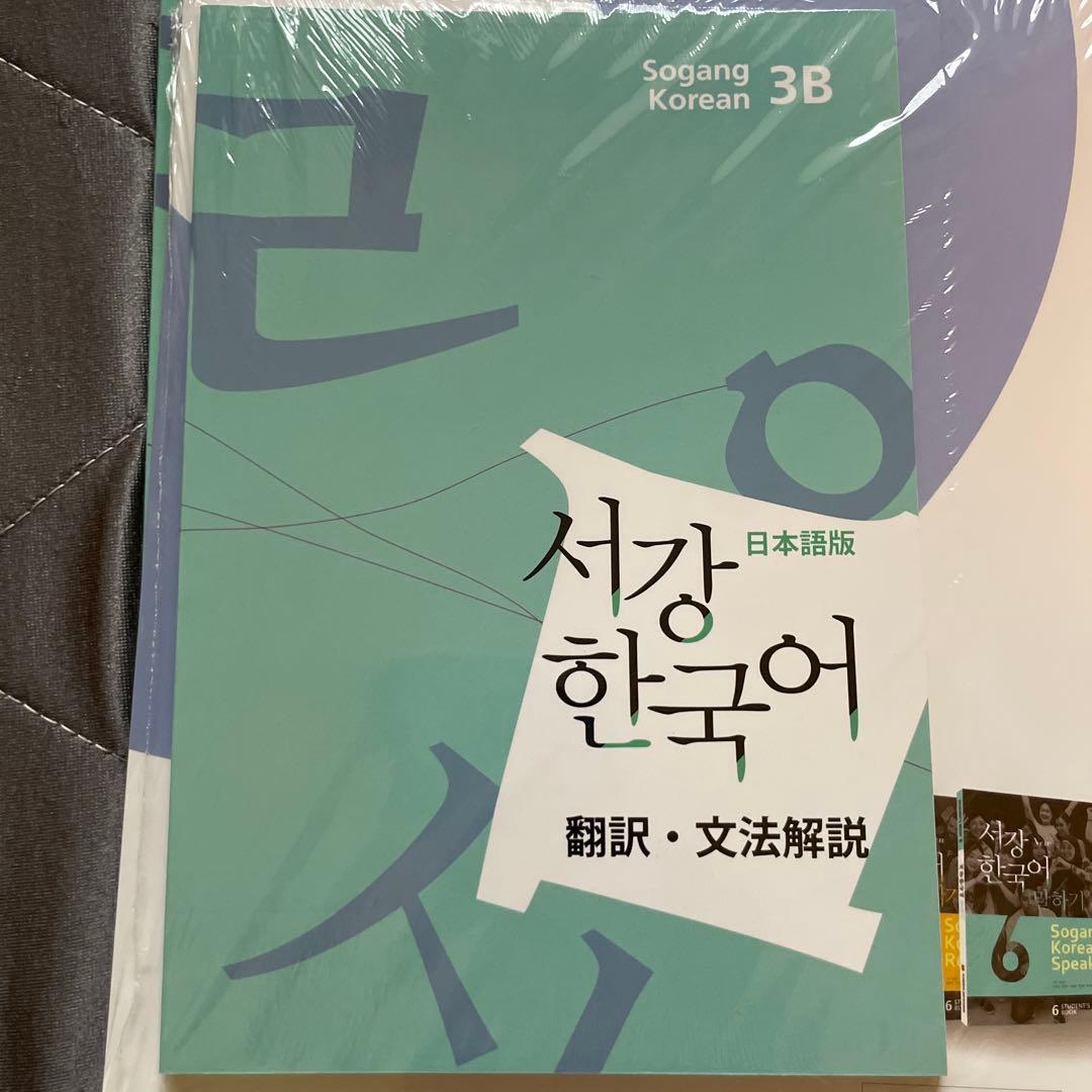 ★韓国限定★ 西江大学 ソガン大学 韓国語 参考書 まとめ売り
