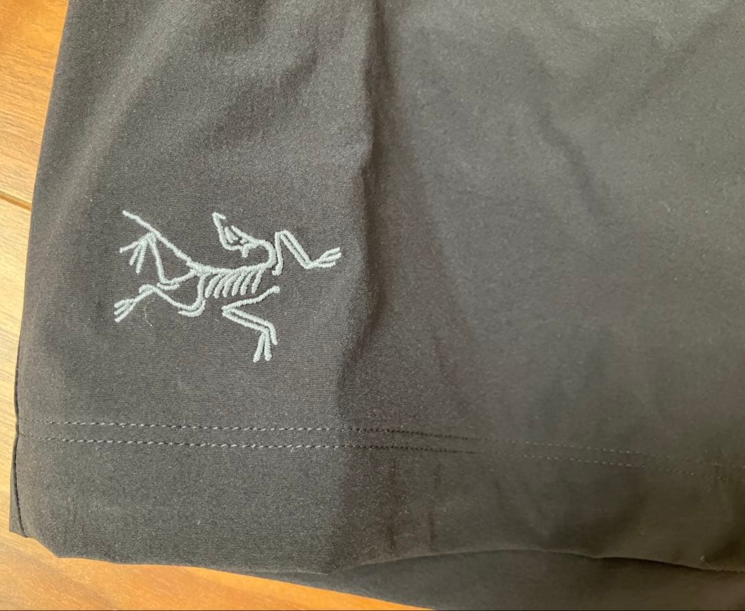 Y*）様 【新品売切】ARC'TERYX Gamma Lightweight s