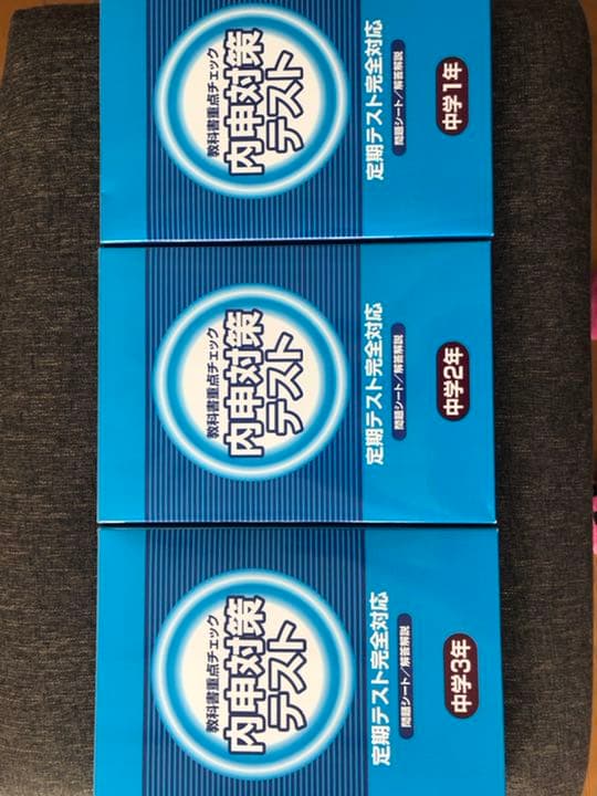 ☆値下げしました☆家庭学習専用 指導書