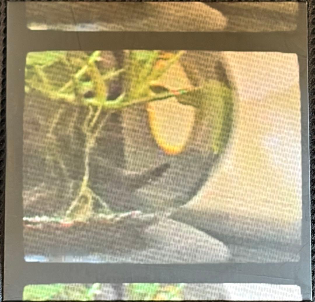 downt / downt 廃盤 CD 初期盤