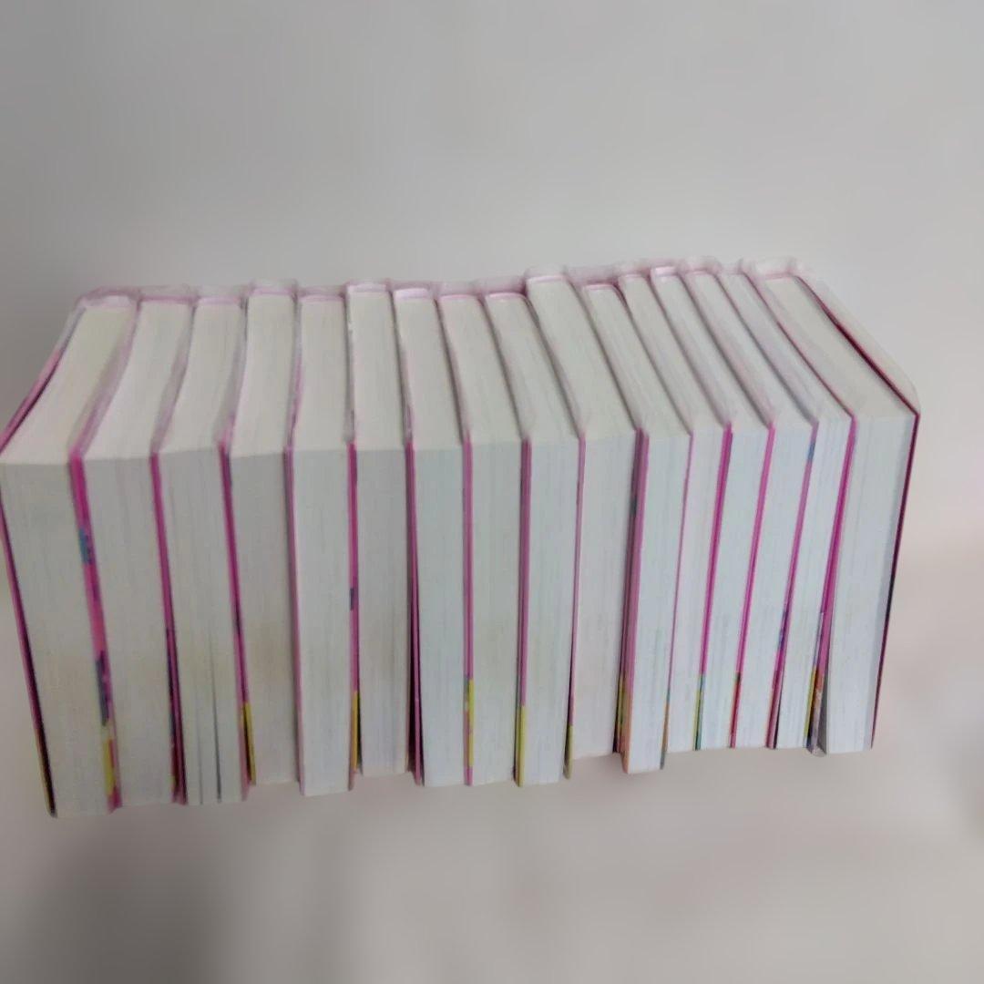 総長様は溺愛中につき 全14巻+2冊セット