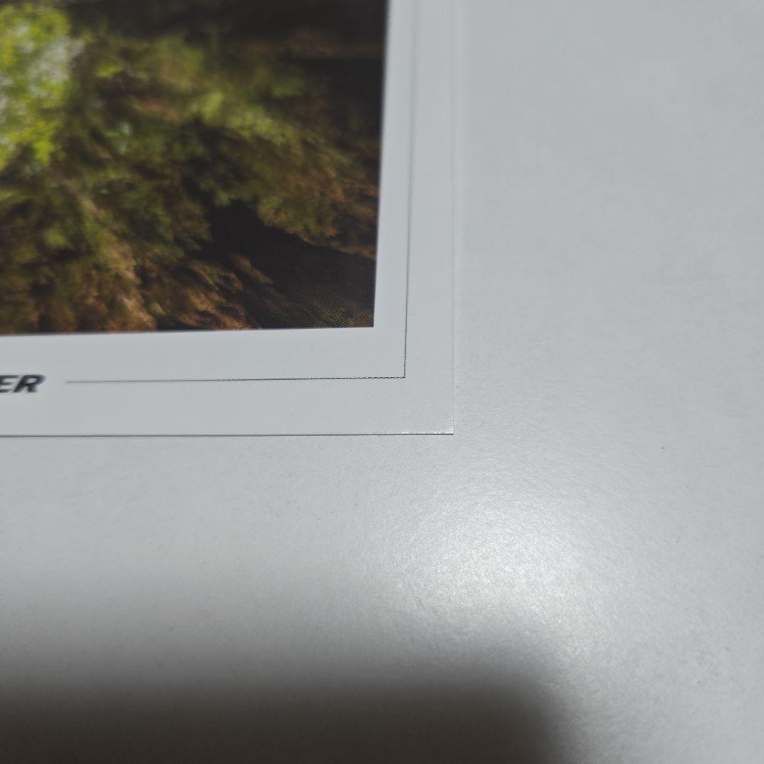 JAC 屋久島 ポストカード 2枚セット