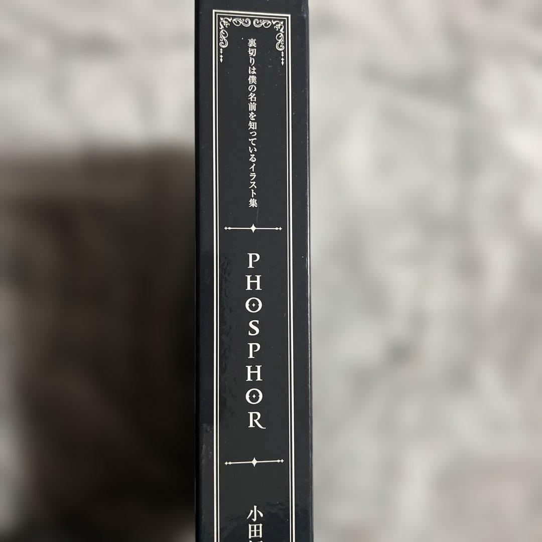 【初版】裏切りは僕の名前を知っているイラスト集 PHOSPHOR　小田切ほたる