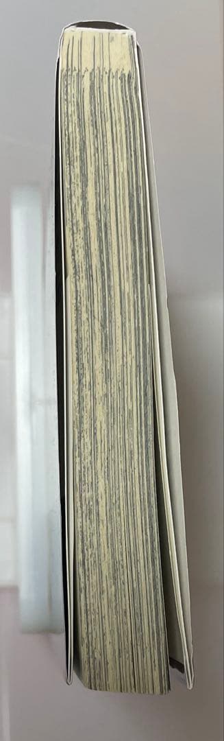 呪術廻戦 芥見下々 17巻 アニメイト 特典 カード イラスト 五条悟