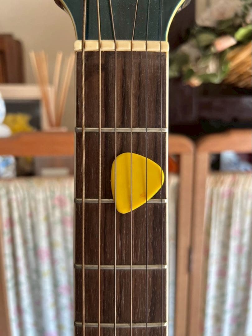 ᕱ⑅ᕱ♥ ＊Sepia Crue エレアコ EAW-300 セピアクルー