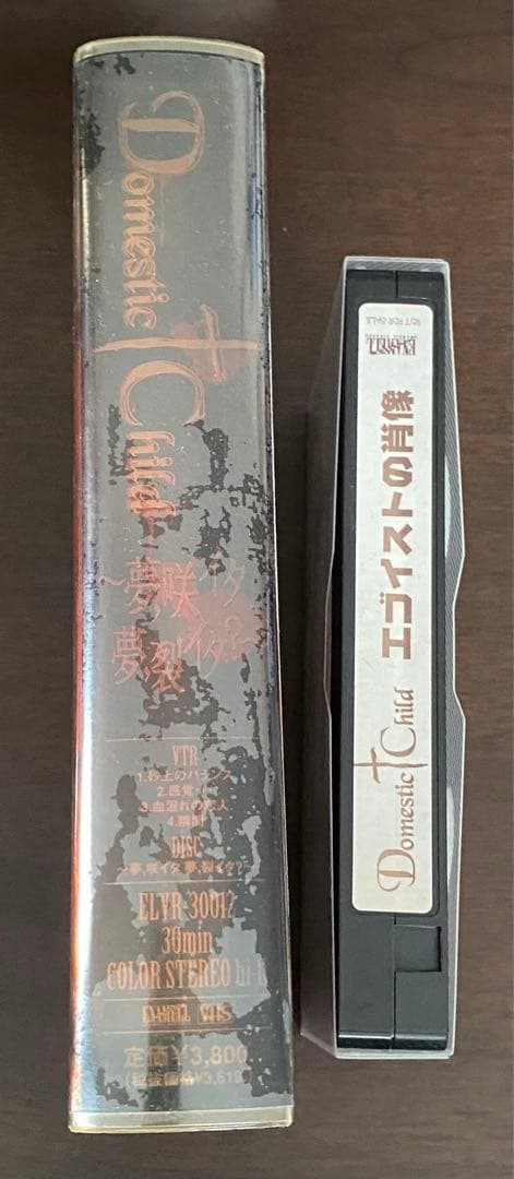 【VHS】Domestic child ビデオ2本セット　ドメチャ