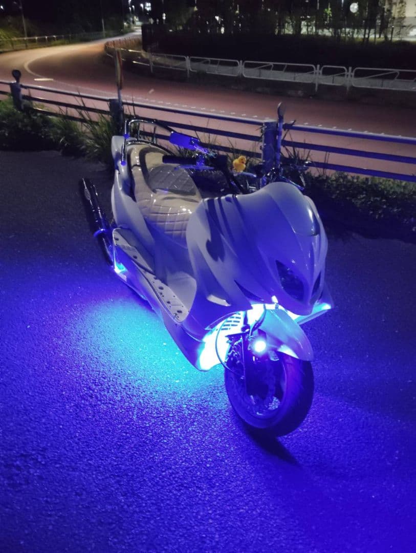 マジェスティ125 イヌさん専用　アンダーカウル