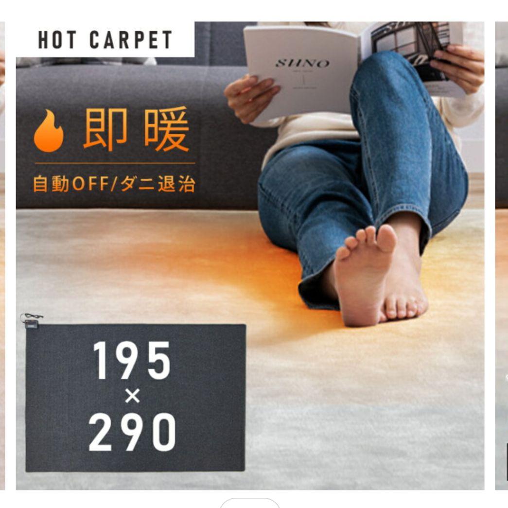 TEKNOS 電気カーペット TWA-4000B 290×195cm 4畳相当