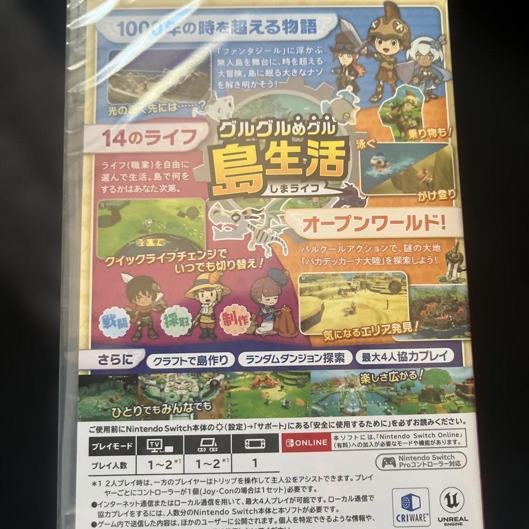 新品FANTASY LIFE グルグルの竜と時をぬすむ少女　特典付き