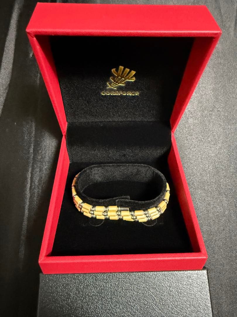 COREFORCE ブレスレット　シャンパンゴールド　SUS CFL50