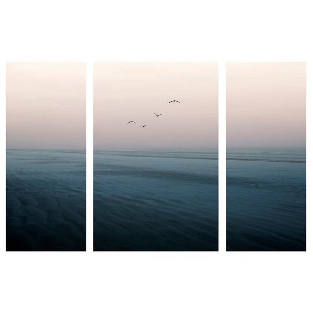（廃盤）IKEA アートパネル PJÄTTERYD 3点セット 飛び立つ鳥の絵