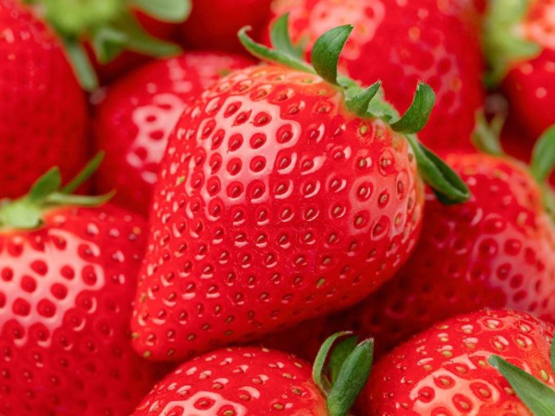 LOCOさま専用ページ