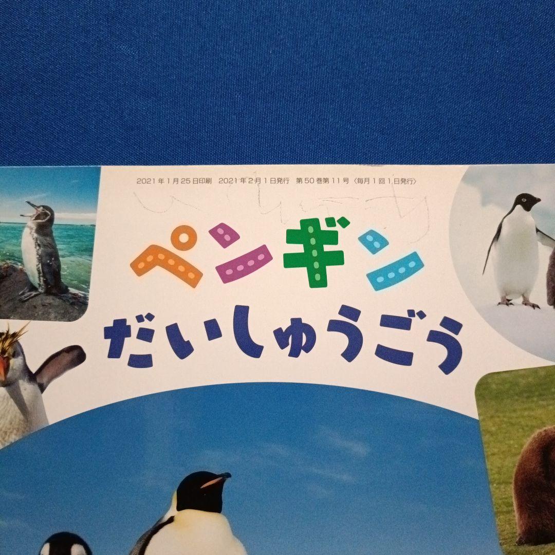 ビッグサイエンス　キンダーブックしぜん　こどものくに　ペンギンさんの絵本　大集合