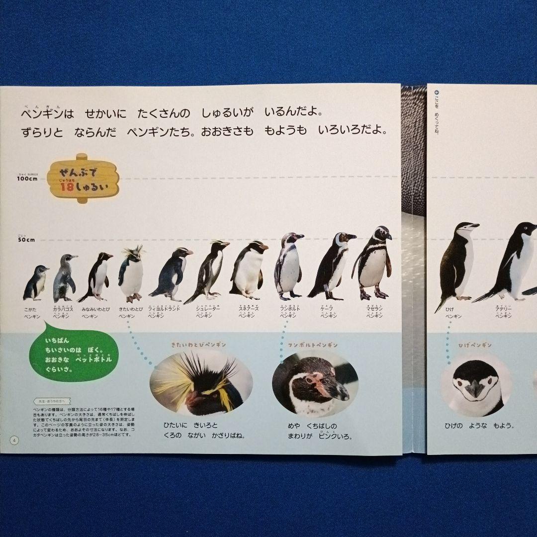 ビッグサイエンス　キンダーブックしぜん　こどものくに　ペンギンさんの絵本　大集合