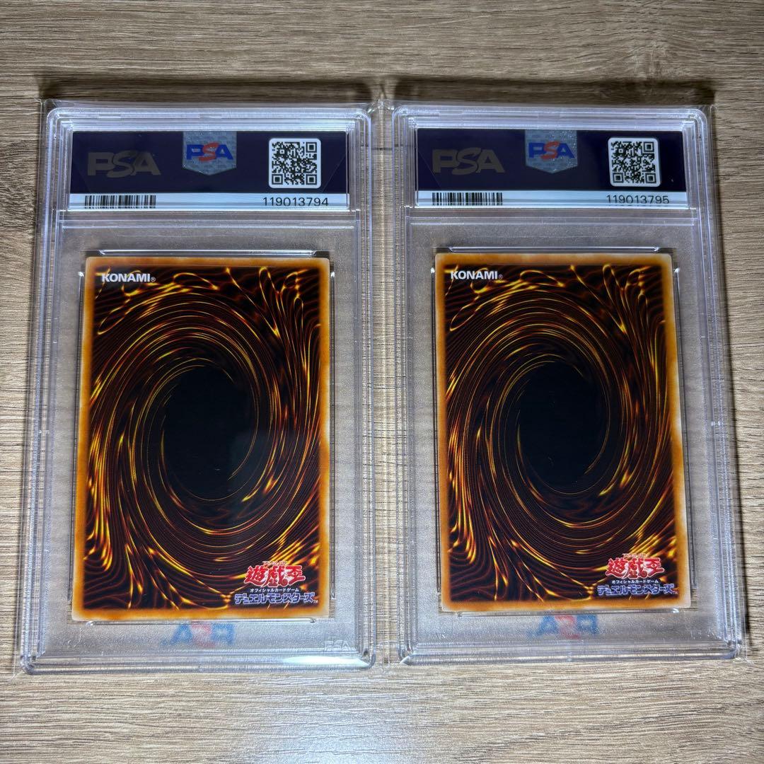 【 鑑定品 PSA10 連番 】　極美品　ネフティスの鳳凰神　羽根　レリーフ