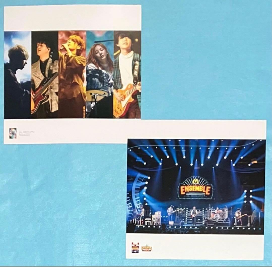 Mrs.GREEN APPLE 5 COMPLETE BOX Tシャツ 無