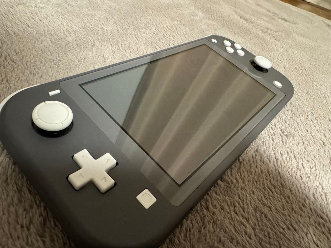 たれみみ　　Nintendo Switch Lite