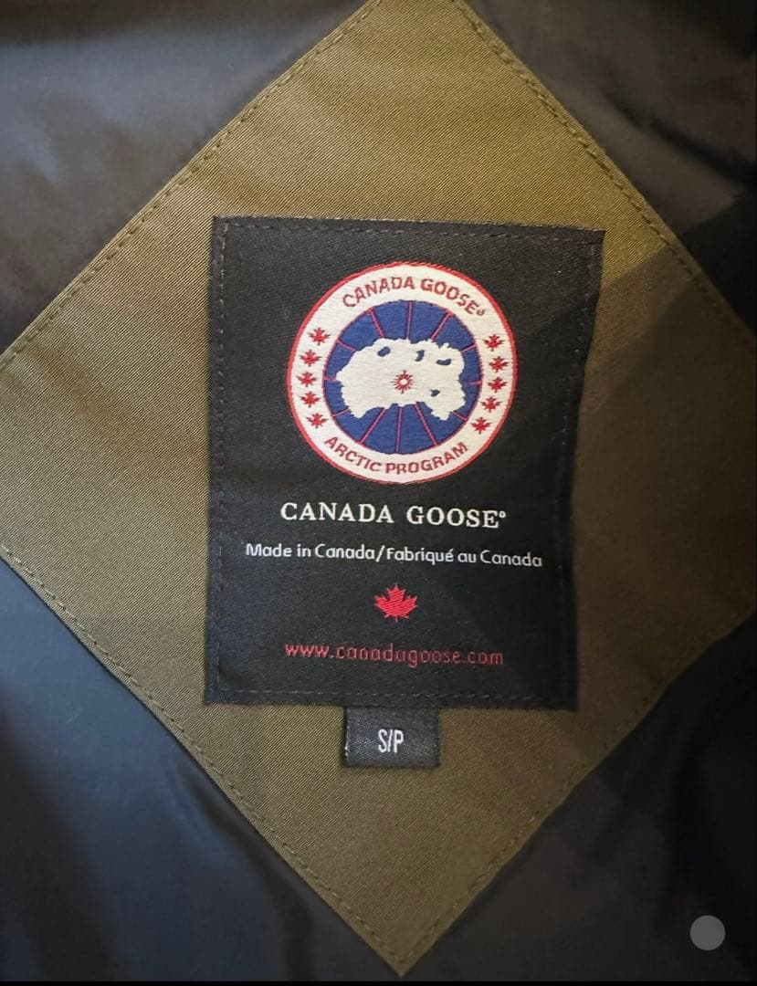   ARCTIC PROGRAM ダウンベスト