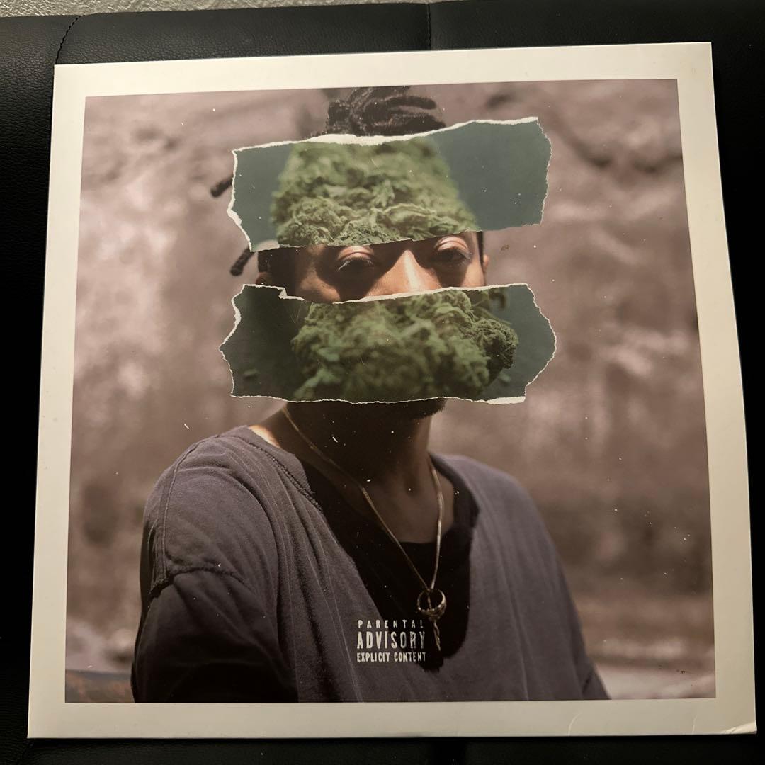 RUDEBWOY FACE JAM DOWN LPレコード