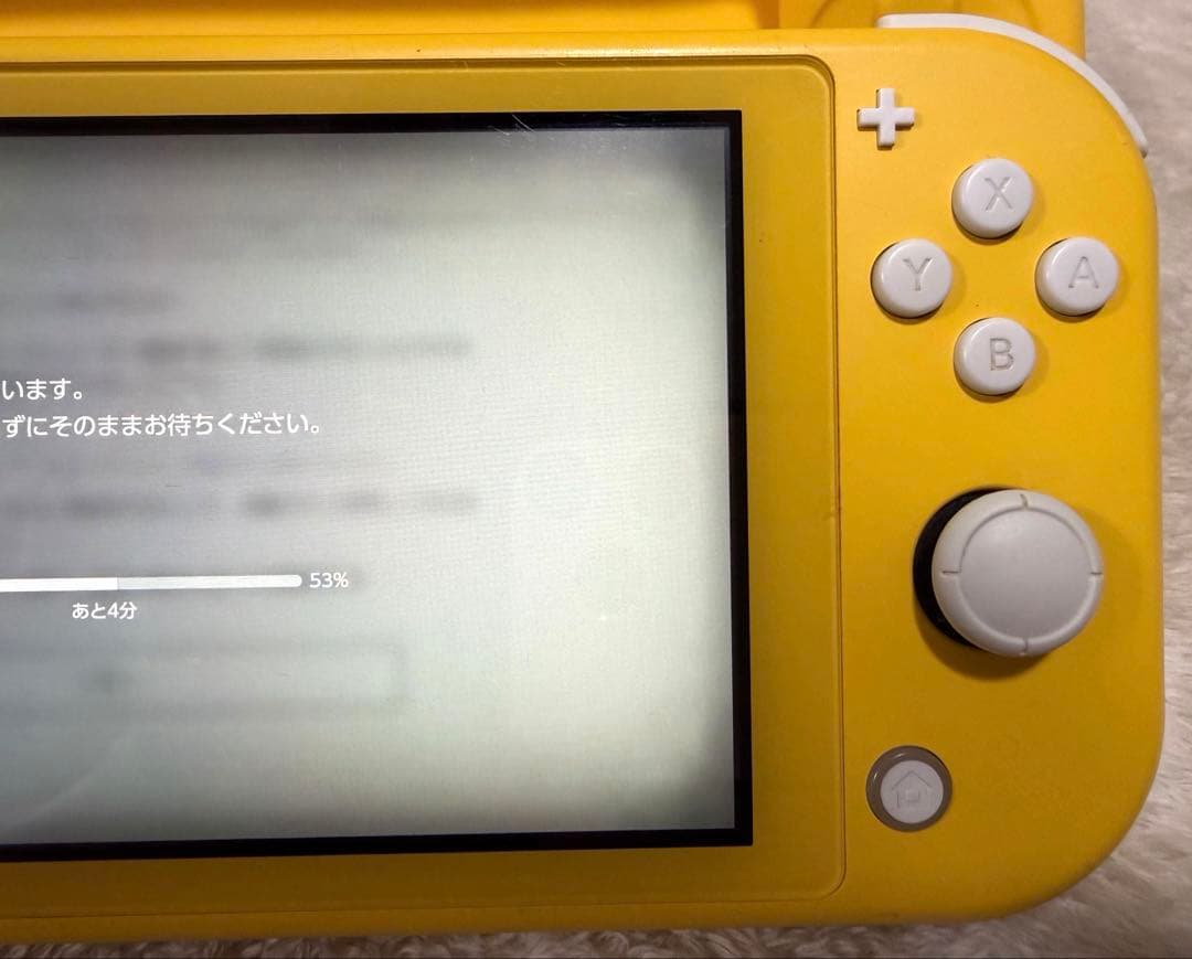 NintendoSwitch Lite イエロー 本体 ケース付 19日迄即発送