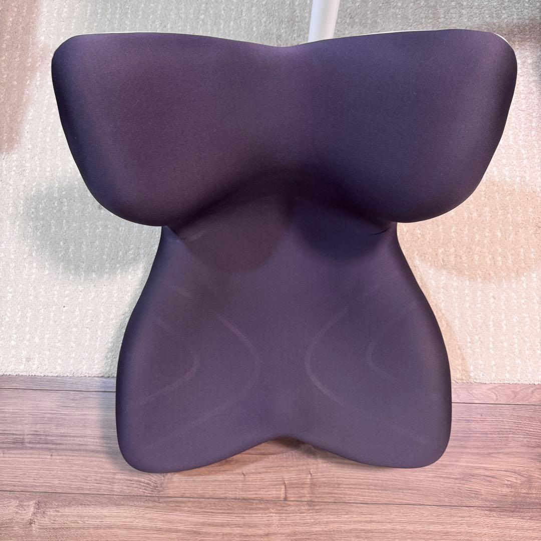 Style PREMIUM 骨盤サポートチェア 座椅 ブラウン ほぼ未使用