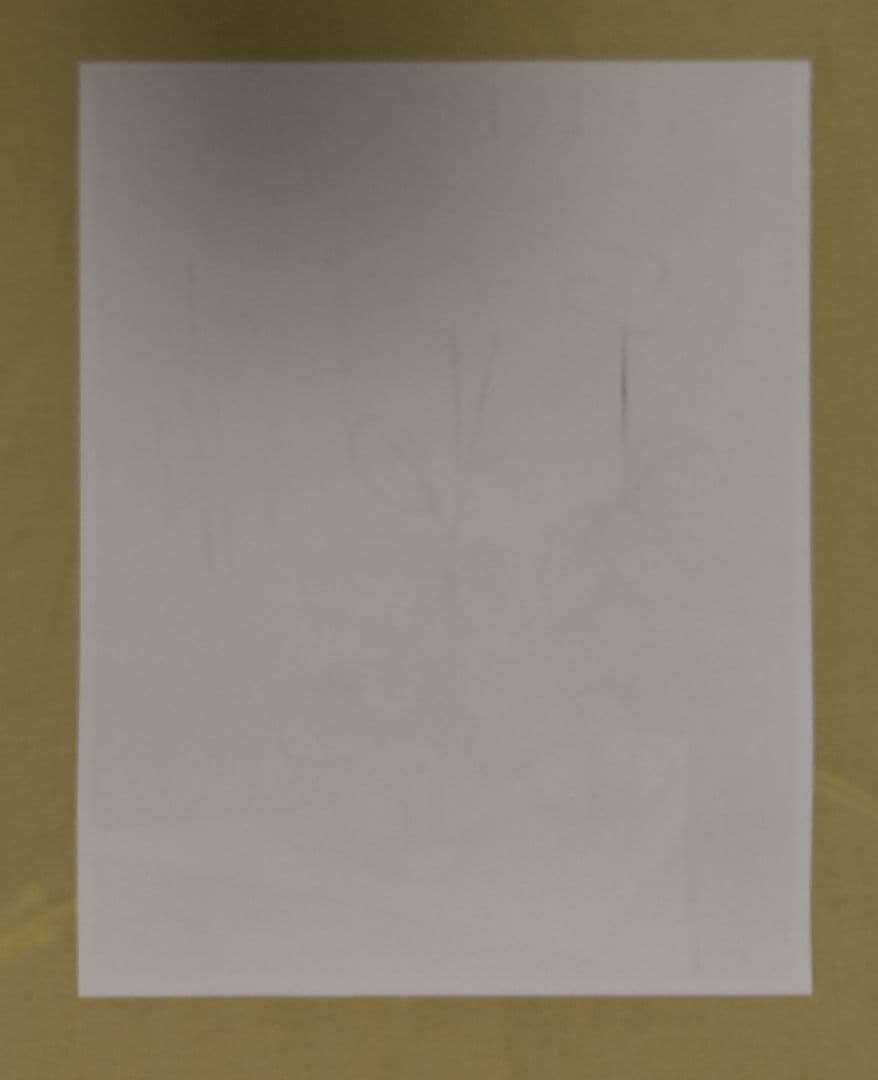 ベルナール·ビュッフェ 【青いプリムラ】 オリジナルリトグラフポスター