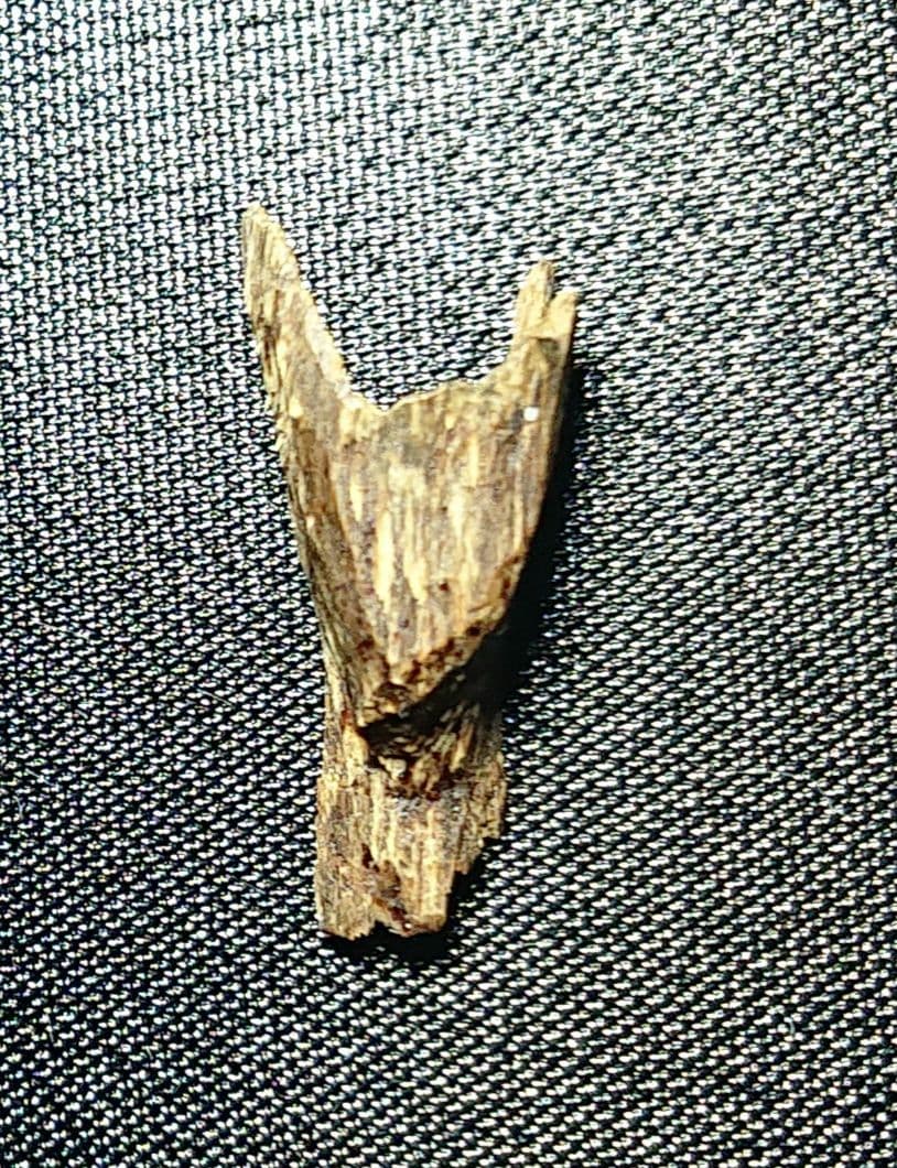 ベトナムフエ産 伽羅 水沈