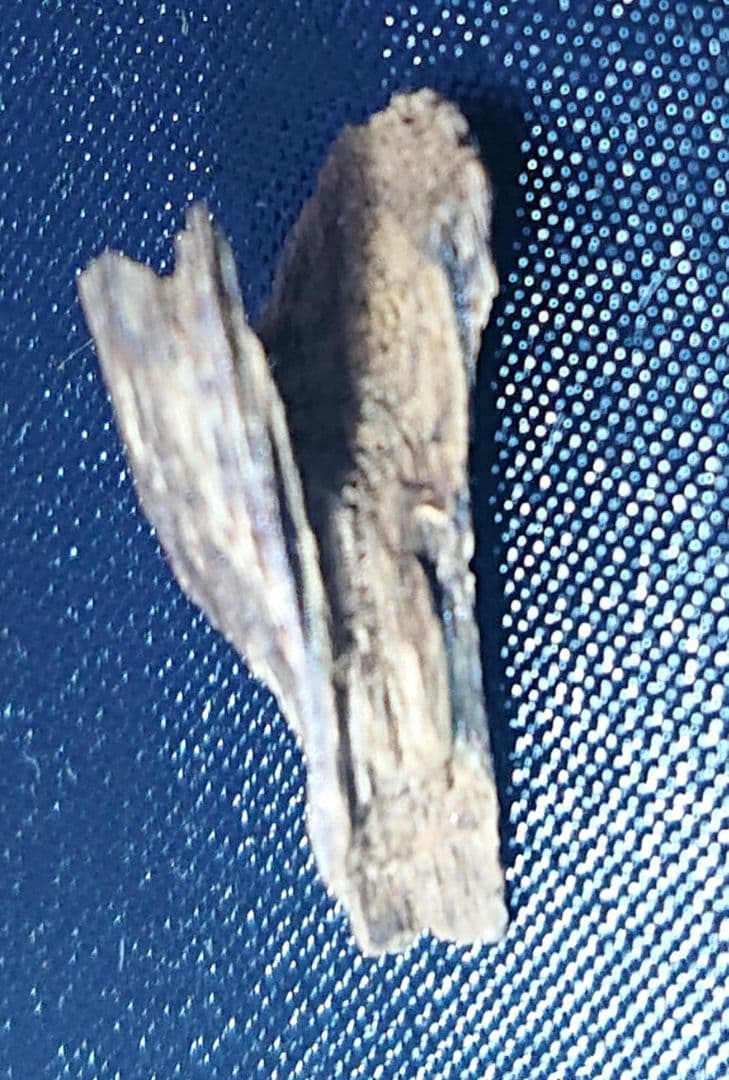 ベトナムフエ産 伽羅 水沈