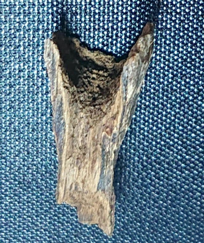 ベトナムフエ産 伽羅 水沈