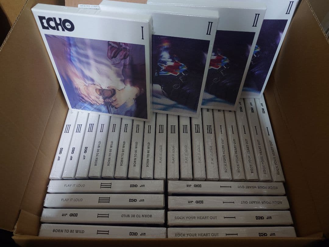 BTS JIN ジン ECHO アルバム 3形態10セット