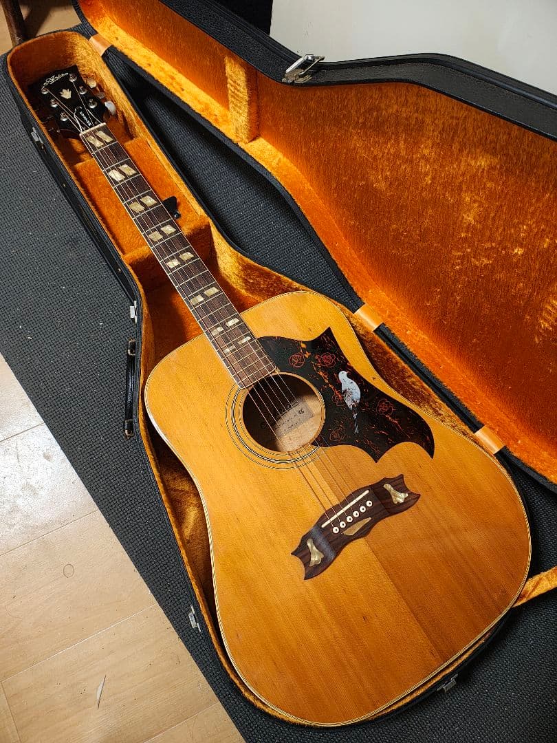 AriaハミングバードWD-33/ハードケース