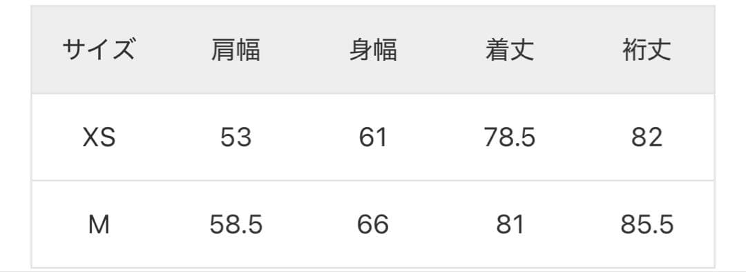 ジャーナルスタンダード 別注 リーバイスTHE EVERYDAY SHIRTS