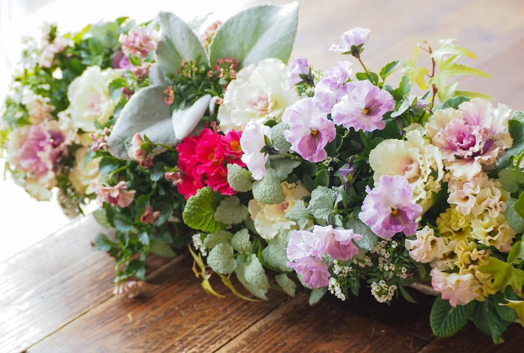 【お値引品】ビオラとジュリアンのマルチな寄せ植え