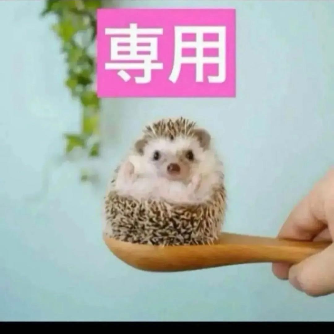 2点、クッション010レフィル 、クッション010ケース付き