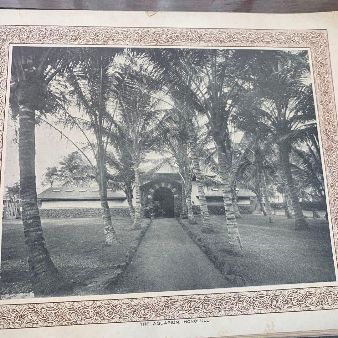 【希少】HAWAIIAN FISHESハワイの魚の画集　洋書