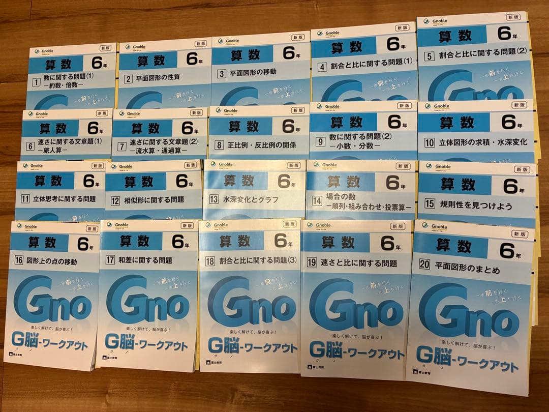 6年生 算数 グノーブル G脳グノワークアウト　全20冊