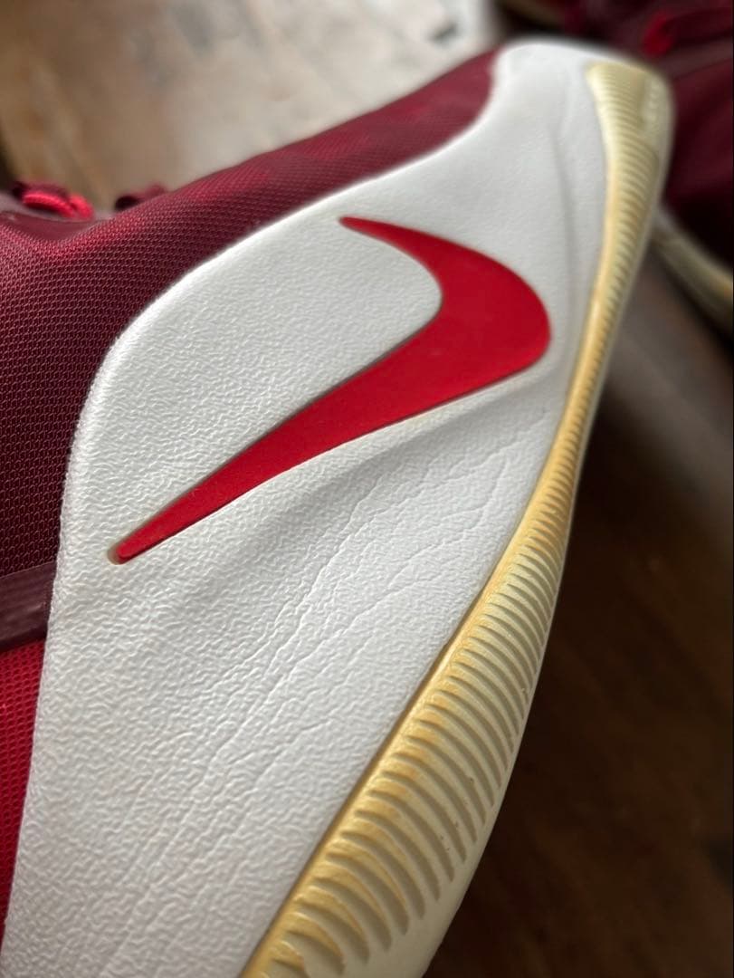 NIKE ハイパーダンク2016 ローカットタイプ