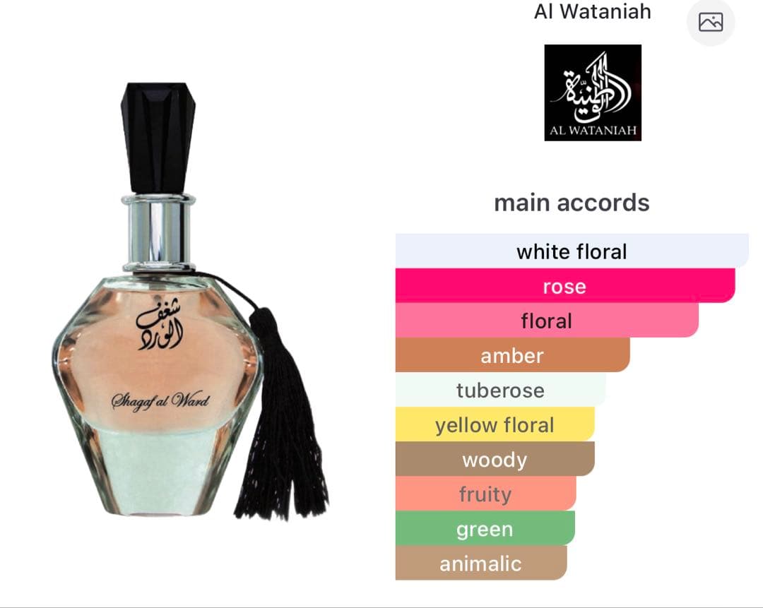 アラビア香水2本セット シャガフ＆アメーラティ