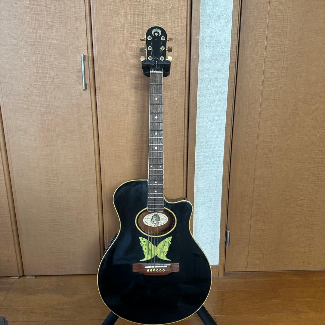 Epiphone EO-2 / B エレアコ