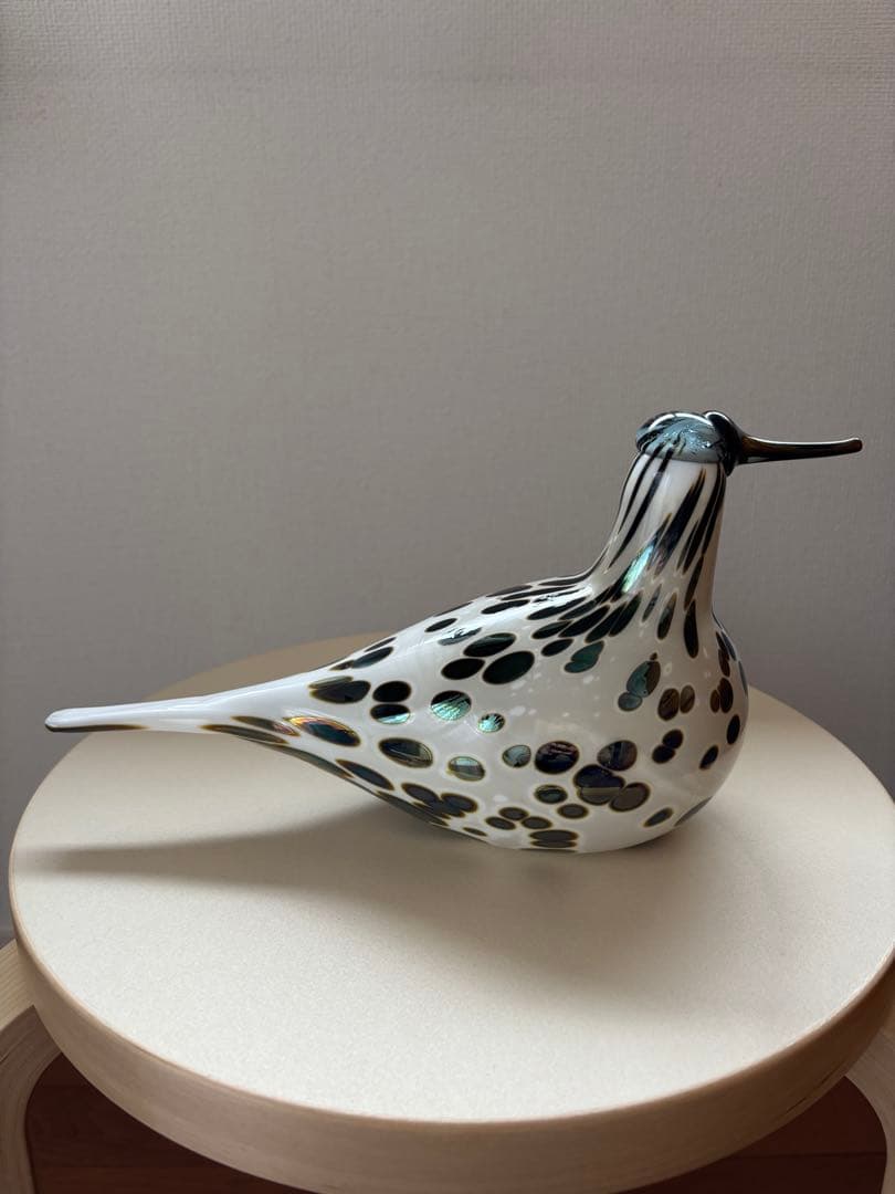 イッタラバード　Spotted Sandpiper SSKK 2006 傷あり